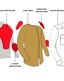 MOTOSHIRT YELLOW протекторы моторубашка John Doe